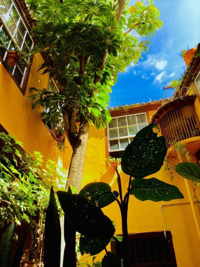 דירות סנטה קרוס דה לה פלמה Casa Alves, Ultimo Tercio S. XVI מראה חיצוני תמונה